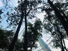 -日照海滨国家森林公园
