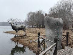 -溱湖国家湿地公园