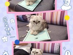 -猫音日语留学培训