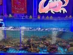 -徐记小怪兽肉蟹煲店(哈西万达金街店)