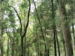 -灵栖洞天