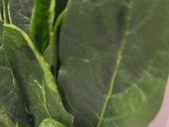 -南门四季铜锅涮肉(大屯·北苑店)