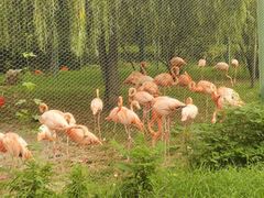 -石家庄市动物园