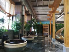 -弘安丽水温泉酒店