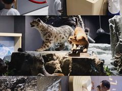 -厦门诚毅自然探索馆