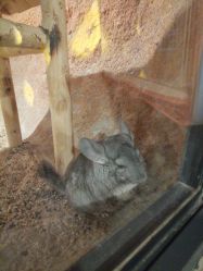 -酷嗒动物文化乐园(cutezoo西溪乐天城店)