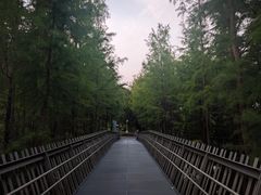-福道