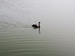 -长兴太湖图影湿地文化园