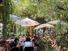 -Fern Forest Cafe