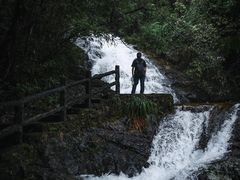 -姑婆山旅游区