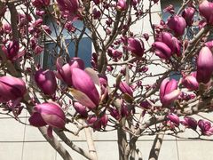 景点-长白岛森林公园