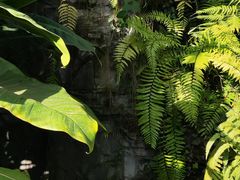 -国家植物园南园