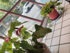-蛙一刀·麻椒鱼火锅(金仙桥店)