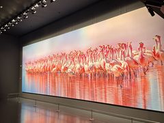 -罗红摄影艺术馆