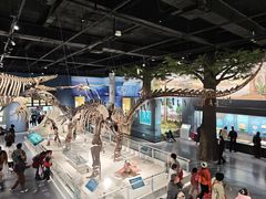 -国家自然博物馆