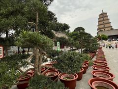 -大慈恩寺(大雁塔)