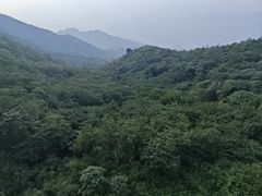 -大围山国家森林公园