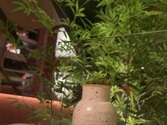 -初蓉丨遇见新川菜(亲贤街荣耀店)