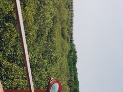 -北海金海湾红树林生态旅游区