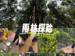 -西双版纳基诺山寨
