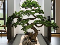 大堂-享月汤皇·海鲜小火锅·聚会(曲江创意谷店)