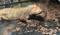 -Zoolung Zoolung动物主题公园(海信广场店)