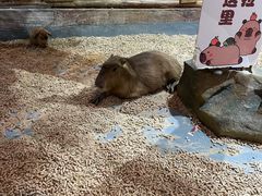 -顺德南宏海立方海洋公园