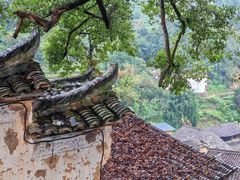 -杨家堂村