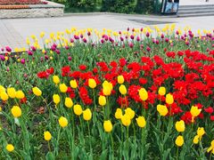 -长春公园(普阳街道)