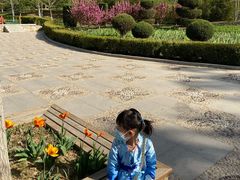 -燕郊植物园