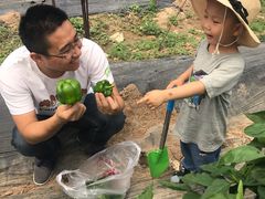 -庞各庄翠芳园西瓜蔬菜基地采摘园