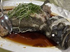 -老字号蛇口德记烧腊饭店·海鲜加工