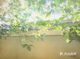 这么夏天的水彩，我还是第一次见！