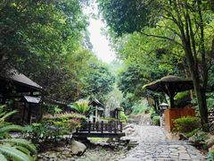 -明月山天沐温泉度假村