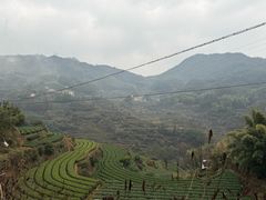 -杨家堂村