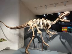 -自贡恐龙博物馆