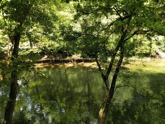 -阿哈湖国家湿地公园