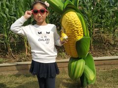 -田园东方蜜桃村的田野营地