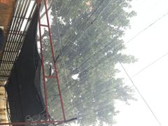-张家油条