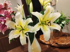 -大自然花鸟鱼虫市场