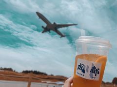 -空港花田景区