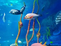 -沈阳海洋探索中心