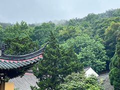 -普陀山风景名胜区-法雨禅寺