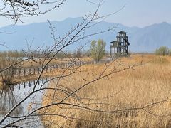 -野鸭湖国家湿地公园