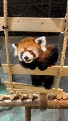 -Zoolung Zoolung动物主题公园(海信广场店)