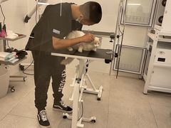 -comecome来吧宠物(奥克斯中心店)