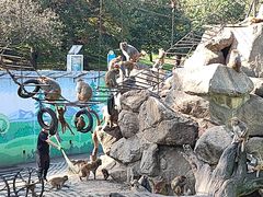 -西安秦岭野生动物园