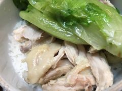 手撕鸡饭-黄祥华养生堂·炖汤·营养蒸饭(岭南天地店)