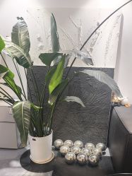 -春田皮肤管理中心品牌旗舰店