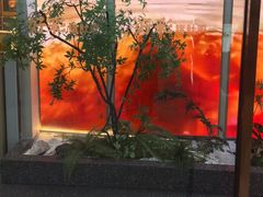 -好彩猪肚鸡(正弘城店)